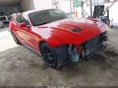 1FA6P8TH9K5134989 2019 FORD MUSTANG