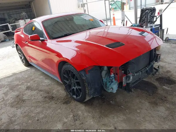 1FA6P8TH9K5134989 2019 FORD MUSTANG - Image 1
