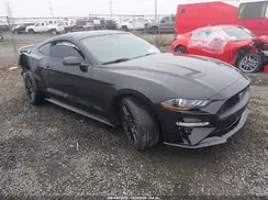 1FA6P8TH9K5135463 2019 FORD MUSTANG