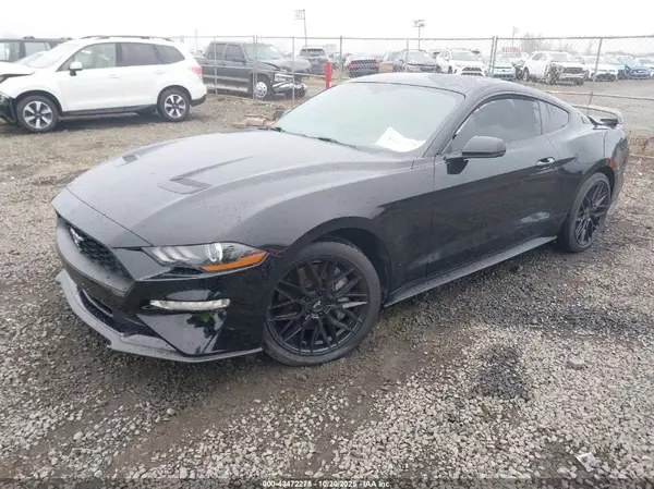 1FA6P8TH9K5135463 2019 FORD MUSTANG - Image 2