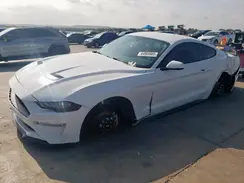 1FA6P8TH9K5150805 2019 FORD MUSTANG