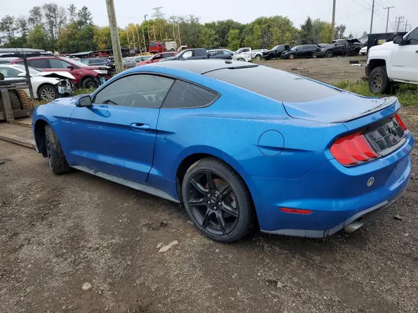 1FA6P8TH9K5155115 2019 FORD MUSTANG - Image 2
