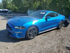 1FA6P8TH9K5175977 2019 FORD MUSTANG