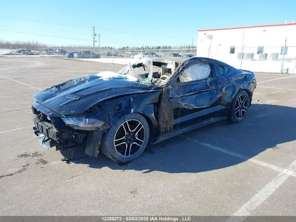 1FA6P8TH9K5180077 2019 FORD MUSTANG - Image 2