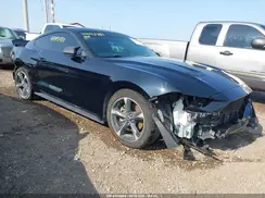 1FA6P8TH9K5180855 2019 FORD MUSTANG