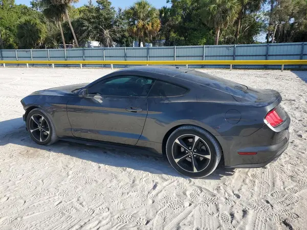 1FA6P8TH9K5187501 2019 FORD MUSTANG - Image 2