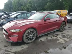 1FA6P8TH9K5188776 2019 FORD MUSTANG