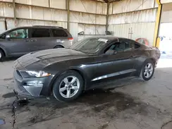 1FA6P8TH9K5189796 2019 FORD MUSTANG
