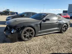 1FA6P8TH9K5193699 2019 FORD MUSTANG