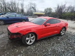 1FA6P8TH9K5197462 2019 FORD MUSTANG