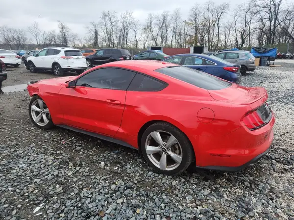 1FA6P8TH9K5197462 2019 FORD MUSTANG - Image 2