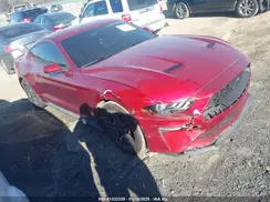 1FA6P8TH9K5199731 2019 FORD MUSTANG