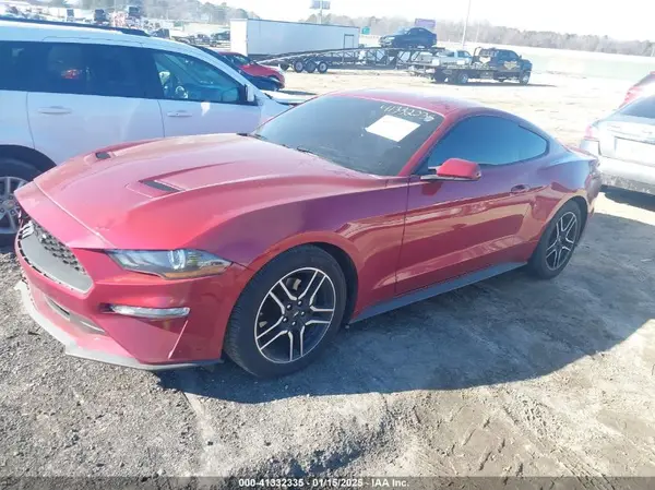 1FA6P8TH9K5199731 2019 FORD MUSTANG - Image 2