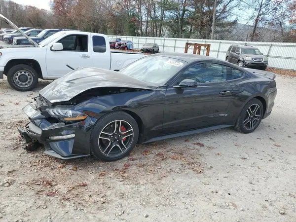 1FA6P8TH9K5203681 2019 FORD MUSTANG - Image 1