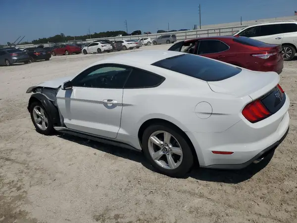 1FA6P8TH9K5204023 2019 FORD MUSTANG - Image 2