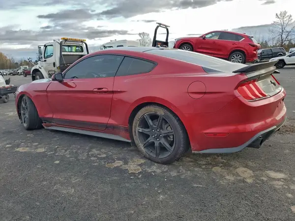 1FA6P8TH9L5130667 2020 FORD MUSTANG - Image 2