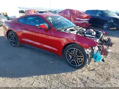 1FA6P8TH9L5187435 2020 FORD MUSTANG
