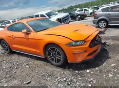 1FA6P8TH9M5126197 2021 FORD MUSTANG