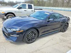 1FA6P8TH9M5138009 2021 FORD MUSTANG