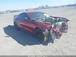 1FA6P8TH9P5101062 2023 FORD MUSTANG