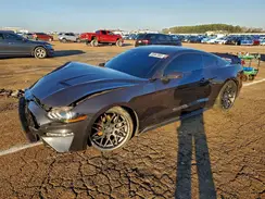 1FA6P8TH9P5101661 2023 FORD MUSTANG