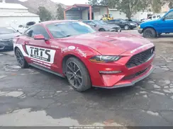 1FA6P8TH9P5102504 2023 FORD MUSTANG