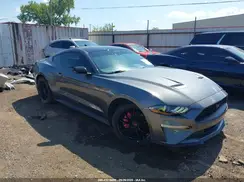 1FA6P8TH9P5113535 2023 FORD MUSTANG