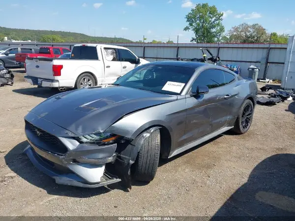 1FA6P8TH9P5113535 2023 FORD MUSTANG - Image 2