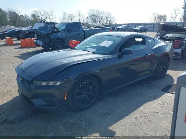 1FA6P8TH9R5101727 2024 FORD MUSTANG - Image 2