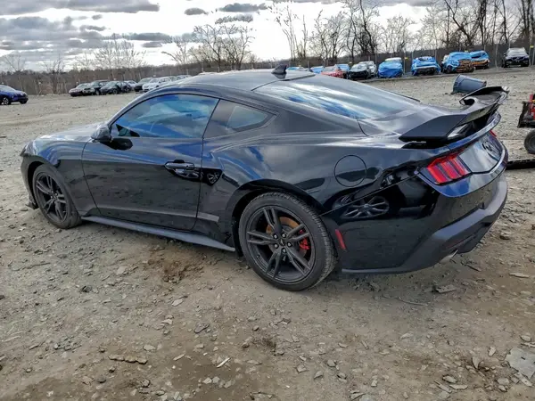1FA6P8TH9R5106250 2024 FORD MUSTANG - Image 2