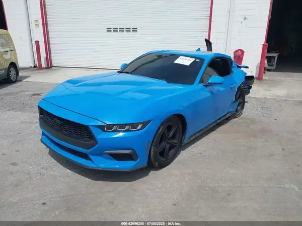 1FA6P8TH9R5106667 2024 FORD MUSTANG - Image 2