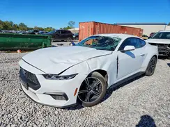 1FA6P8TH9R5110315 2024 FORD MUSTANG