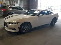 1FA6P8TH9R5118480 2024 FORD MUSTANG
