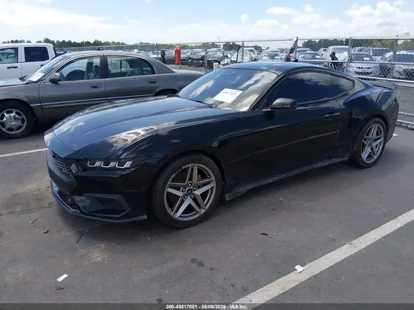 1FA6P8TH9R5118818 2024 FORD MUSTANG - Image 2
