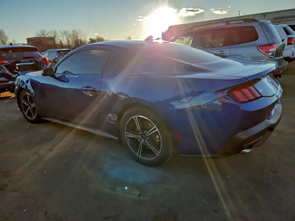 1FA6P8TH9R5119502 2024 FORD MUSTANG - Image 2