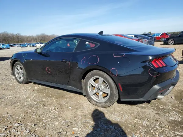 1FA6P8TH9R5121556 2024 FORD MUSTANG - Image 2
