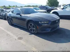 1FA6P8TH9R5129785 2024 FORD MUSTANG