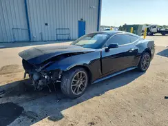 1FA6P8TH9R5137370 2024 FORD MUSTANG