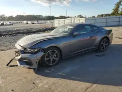 1FA6P8TH9R5138454 2024 FORD MUSTANG
