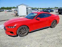 1FA6P8TH9R5141807 2024 FORD MUSTANG