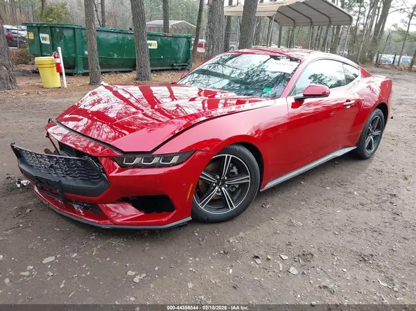 1FA6P8TH9R5145842 2024 FORD MUSTANG - Image 2