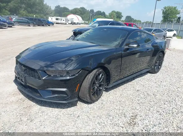 1FA6P8TH9R5146313 2024 FORD MUSTANG - Image 2