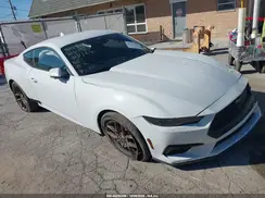 1FA6P8TH9T5106126 2026 FORD MUSTANG
