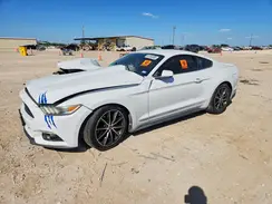 1FA6P8THXG5246059 2016 FORD MUSTANG