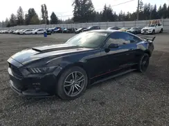 1FA6P8THXG5334559 2016 FORD MUSTANG