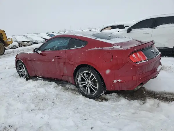 1FA6P8THXH5203388 2017 FORD MUSTANG - Image 2