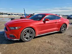 1FA6P8THXH5254731 2017 FORD MUSTANG