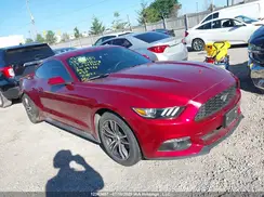 1FA6P8THXH5294369 2017 FORD MUSTANG