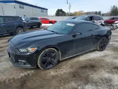 1FA6P8THXH5303510 2017 FORD MUSTANG