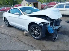 1FA6P8THXH5304589 2017 FORD MUSTANG